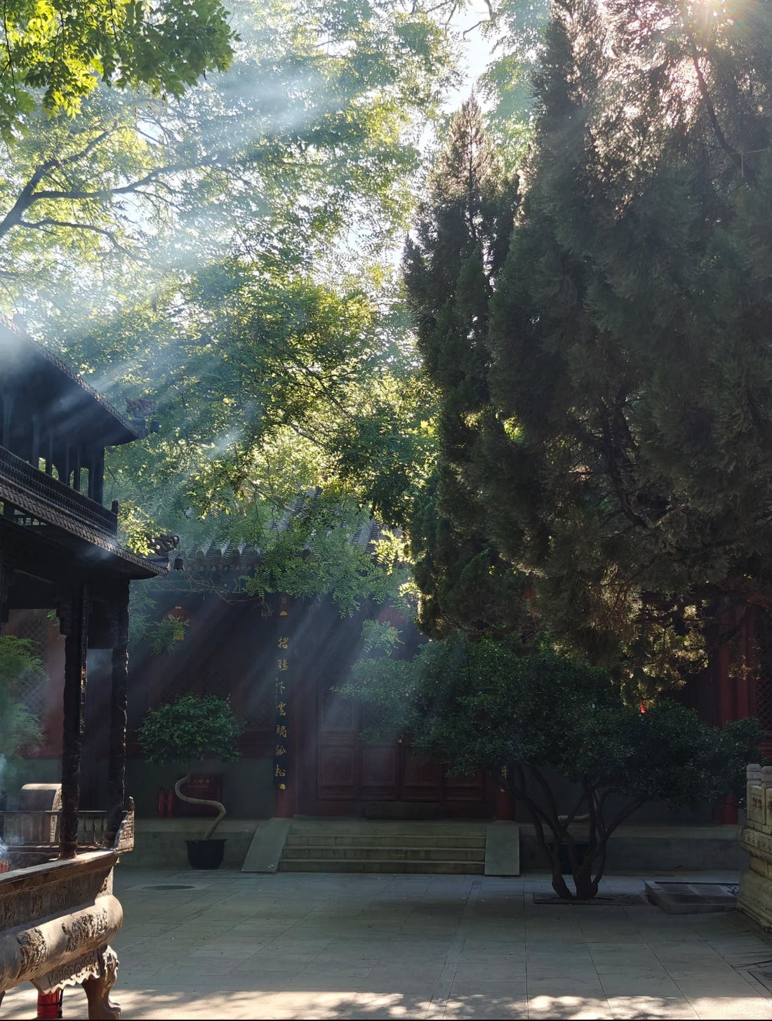 The Five Elements: A Guide to Balance, Feng Shui, and the Zodiac